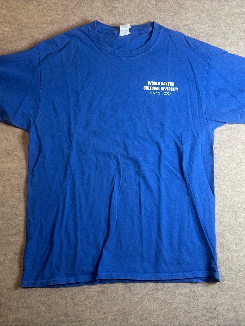 Port and Company Royal Blue 'World Day for Cultural Diversity' Short-Sleeve Tee